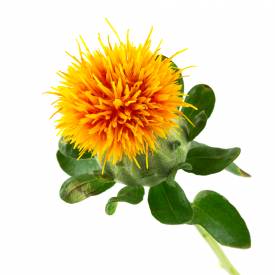 Safflower oil (high oleic)